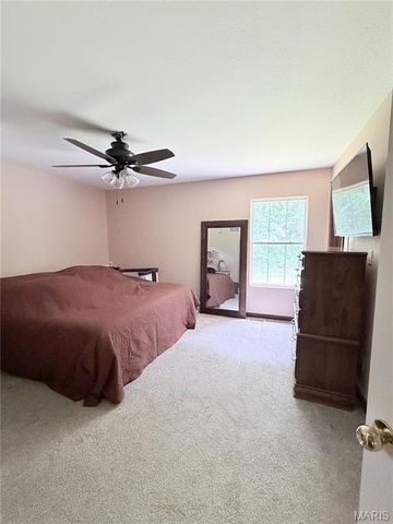 9934 Thurman Oaks Road, Valles Mines, MO 63087