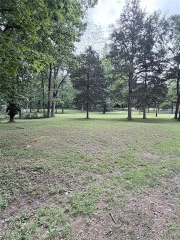 9934 Thurman Oaks Road, Valles Mines, MO 63087