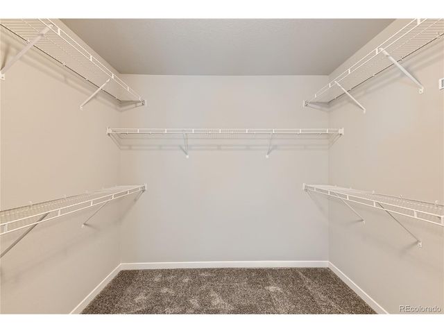 2344 Galloway St, Mead, CO 80542
