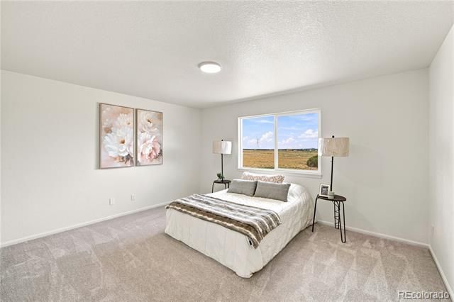 1124 E Lilac Court, Pueblo West, CO 81007