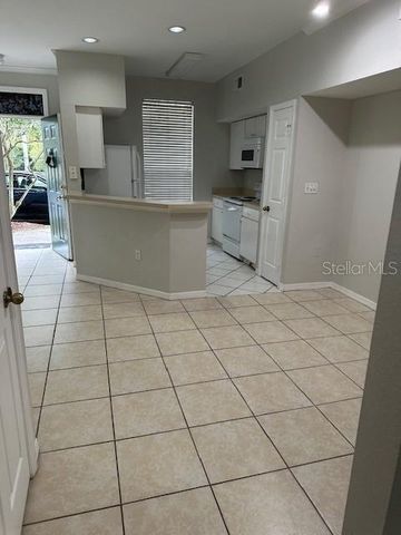 9310 LAKE CHASE ISLAND WAY 9310, Tampa, FL 33626