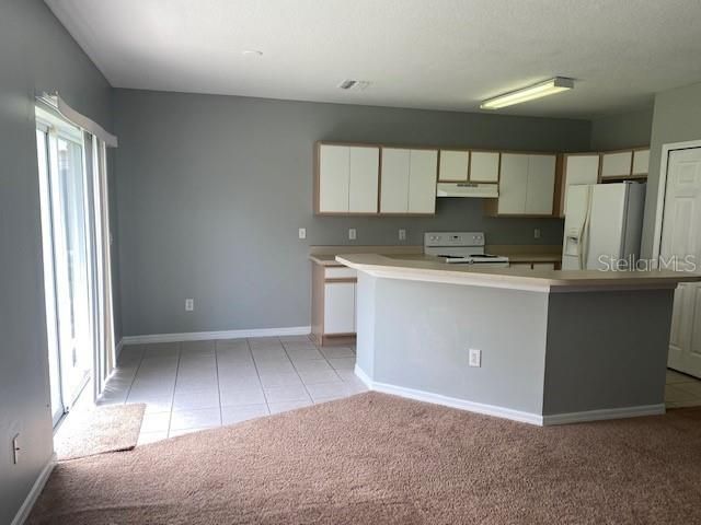 9310 LAKE CHASE ISLAND WAY 9310, Tampa, FL 33626