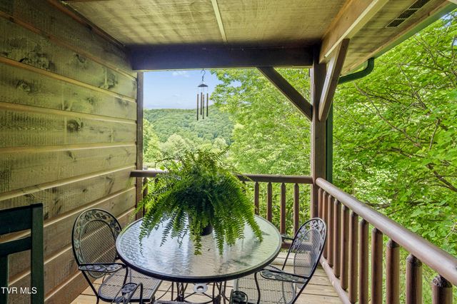 117 Seth Street, Roan Mountain, TN 37687