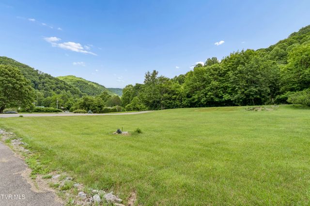 117 Seth Street, Roan Mountain, TN 37687