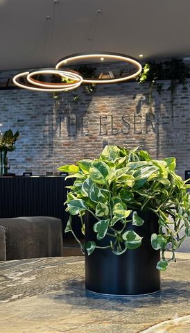 398 NE 5th St 1905, Miami, FL 33132