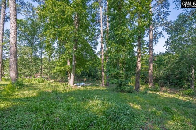 156 Lake Elizabeth Drive, Columbia, SC 29203