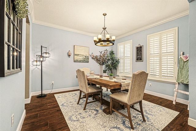 22716 CHEROKEE ROSE PLACE, Land O Lakes, FL 34637