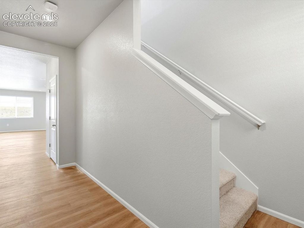 11439 Pikeminnow Place, Colorado Springs, CO 80925 — photo 2