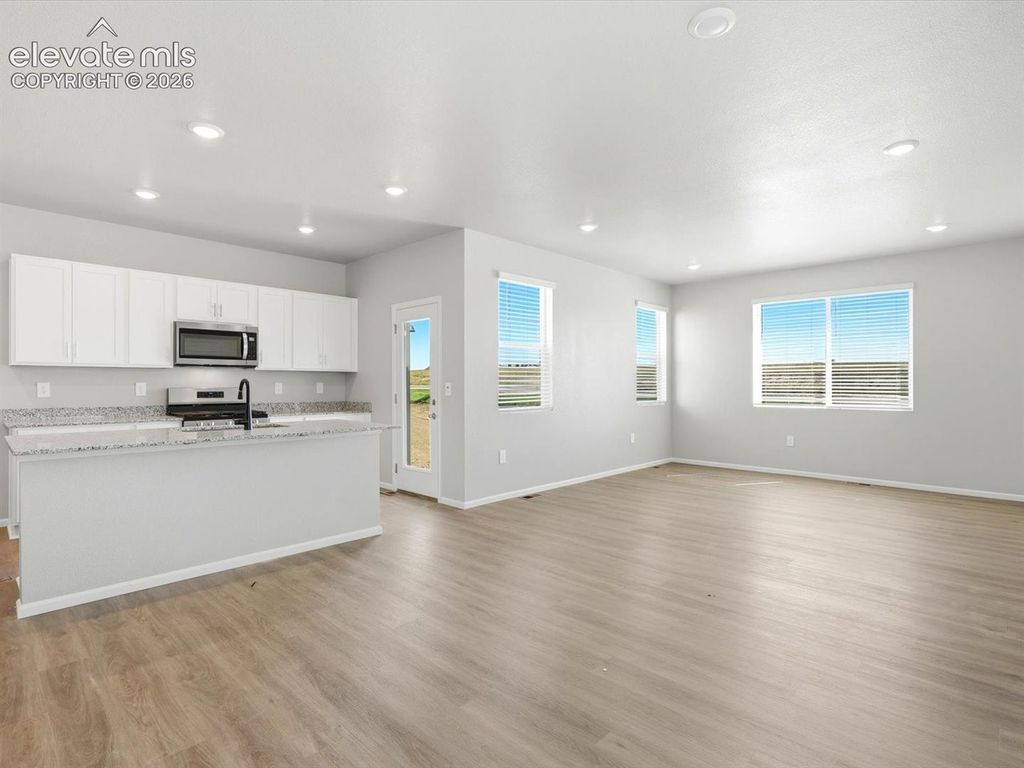 11439 Pikeminnow Place, Colorado Springs, CO 80925 — photo 3