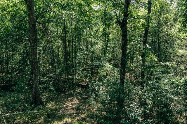 14845 Kyle Lane, Conroe, TX 77306