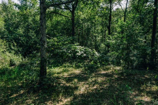 14845 Kyle Lane, Conroe, TX 77306