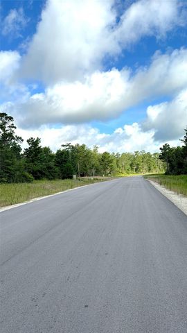 194 Iron Horse Road, New Waverly, TX 77358