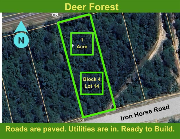 194 Iron Horse Road, New Waverly, TX 77358