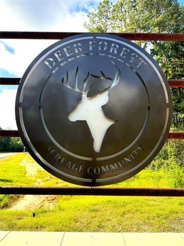 194 Iron Horse Road, New Waverly, TX 77358