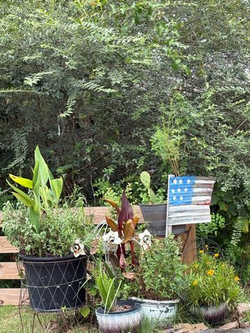 335 Acacia Street, Santa Rosa Beach, FL 32459