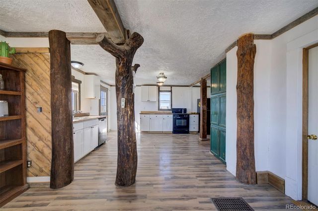 10573 County Road 165, Matheson, CO 80830