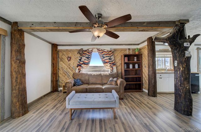 10573 County Road 165, Matheson, CO 80830