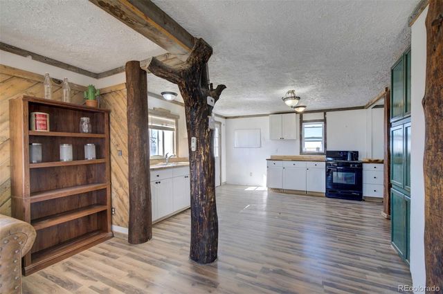 10573 County Road 165, Matheson, CO 80830