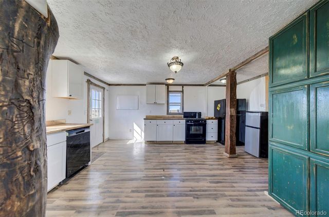 10573 County Road 165, Matheson, CO 80830