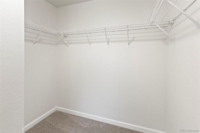 10439 Cheetah Winds, Lone Tree, CO 80124