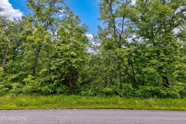0 Tranquility Tr, Dandridge, TN 37725