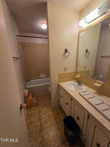 205 Tamassee Drive, Johnson City, TN 37601