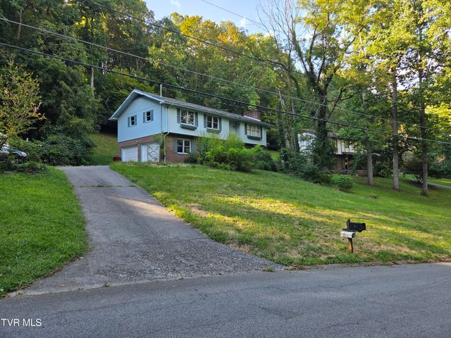 205 Tamassee Drive, Johnson City, TN 37601