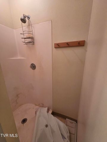 205 Tamassee Drive, Johnson City, TN 37601