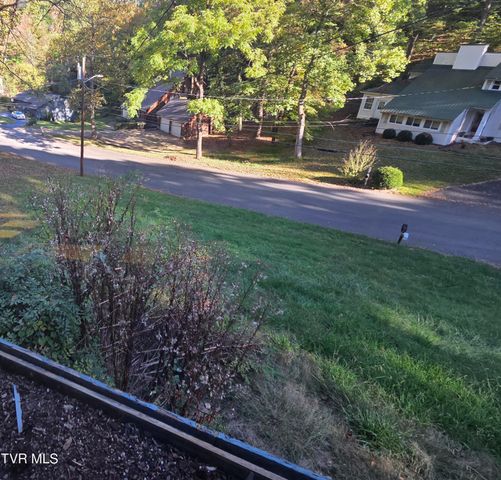 205 Tamassee Drive, Johnson City, TN 37601