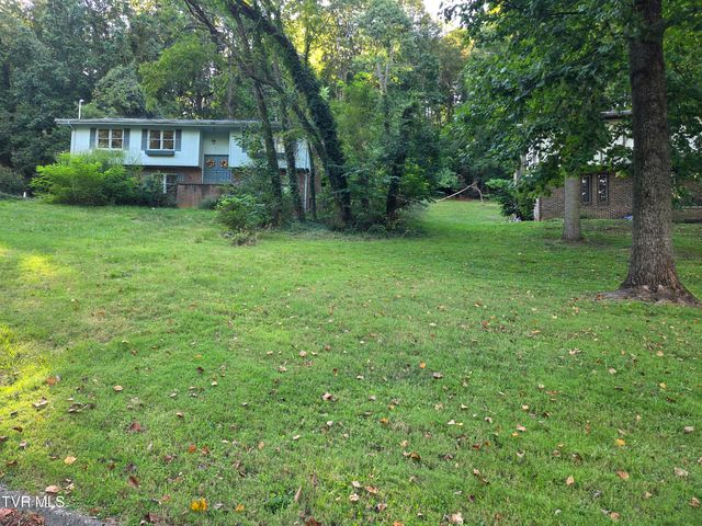 205 Tamassee Drive, Johnson City, TN 37601