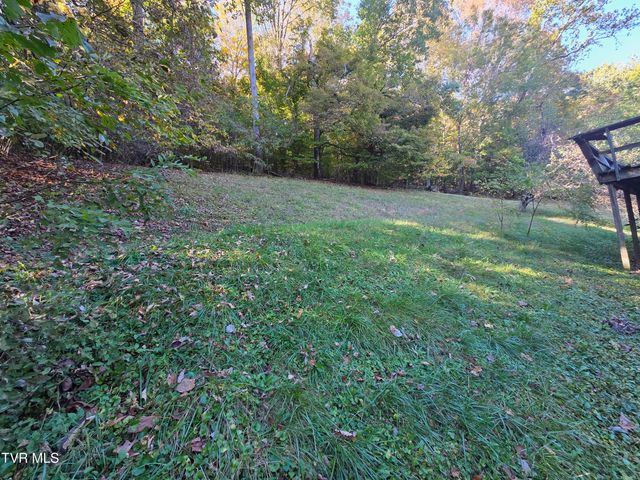 205 Tamassee Drive, Johnson City, TN 37601