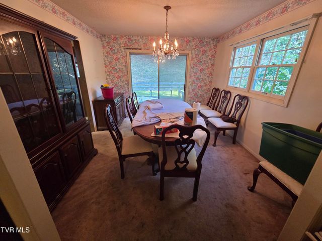 205 Tamassee Drive, Johnson City, TN 37601