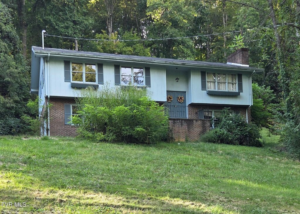 205 Tamassee Drive, Johnson City, TN 37601