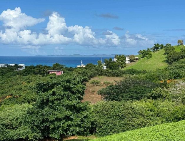 653 CALLE BASTIMIENTO, Vieques, PR 00765