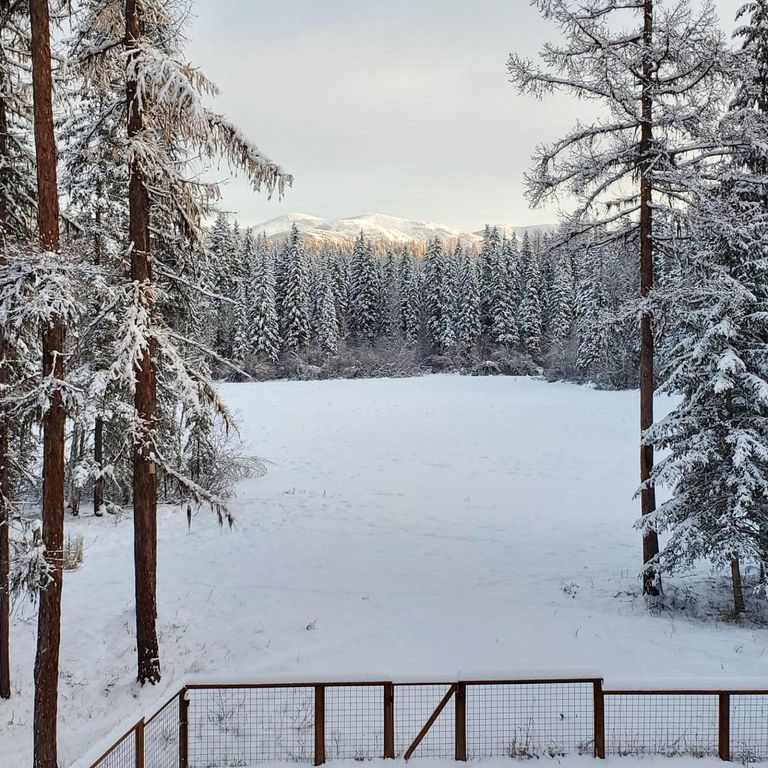 675 Beaver Lake Road, Whitefish, MT 59937 photo 16