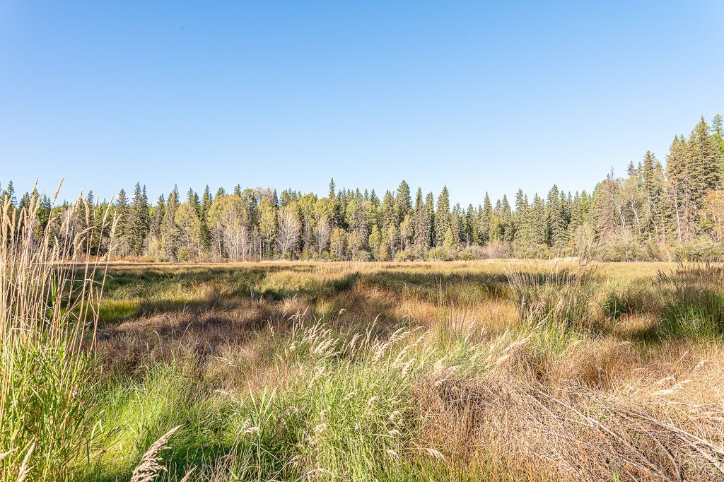 675 Beaver Lake Road, Whitefish, MT 59937 photo 59