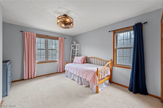 10560 Auburndale Road, Chagrin Falls, OH 44023