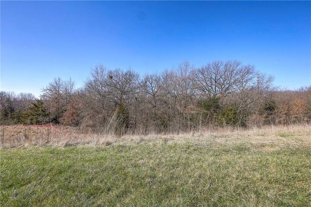 15924 Buena Vista Street, Overland Park, KS 66085