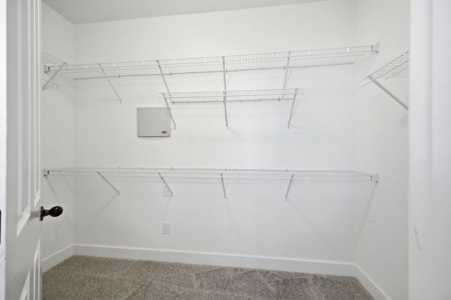 3116 Celt Aly, Nolensville, TN 37135