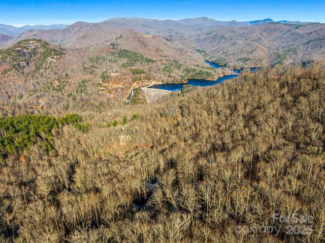 298 Hedgewood Drive, Tuckasegee, NC 28783