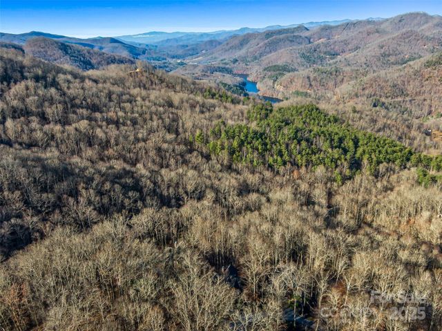298 Hedgewood Drive, Tuckasegee, NC 28783