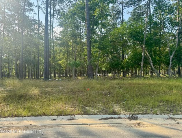 Lot 30 Maluhia Drive, Diamondhead, MS 39525