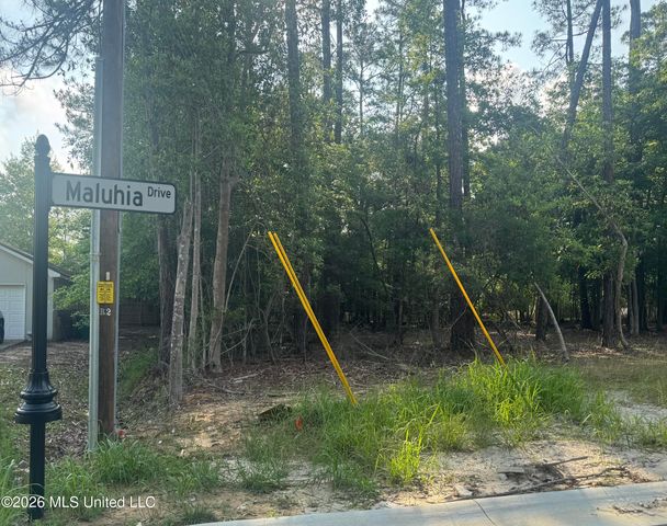 Lot 30 Maluhia Drive, Diamondhead, MS 39525