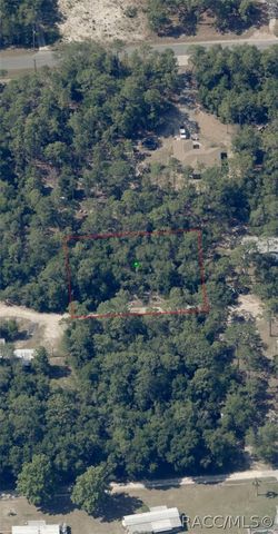 1108 E Van Gogh Court, Hernando, FL 34442