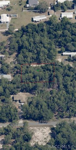 1108 E Van Gogh Court, Hernando, FL 34442