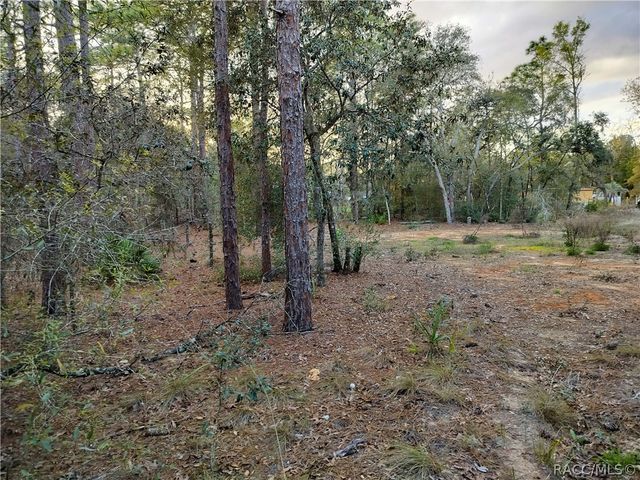 1108 E Van Gogh Court, Hernando, FL 34442