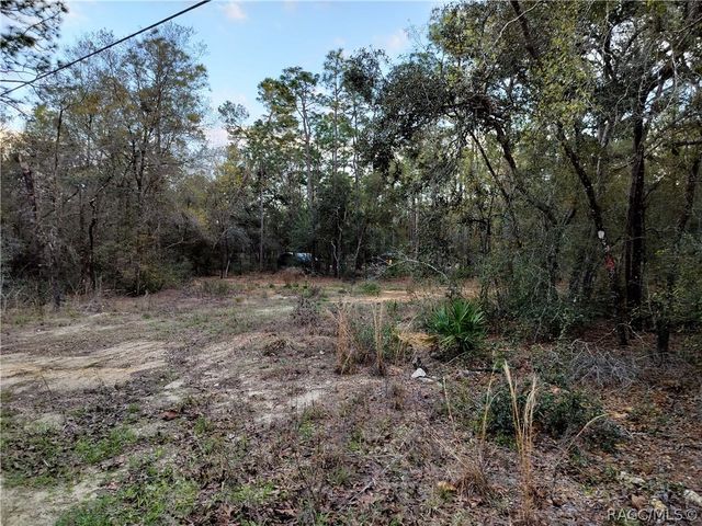 1108 E Van Gogh Court, Hernando, FL 34442