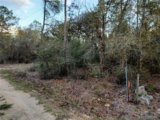 1108 E Van Gogh Court, Hernando, FL 34442