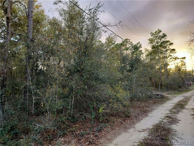 1108 E Van Gogh Court, Hernando, FL 34442