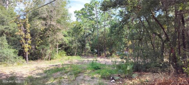 1108 E Van Gogh Court, Hernando, FL 34442